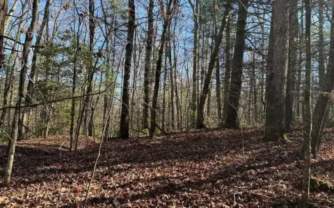 Land in Blue Ridge, GA