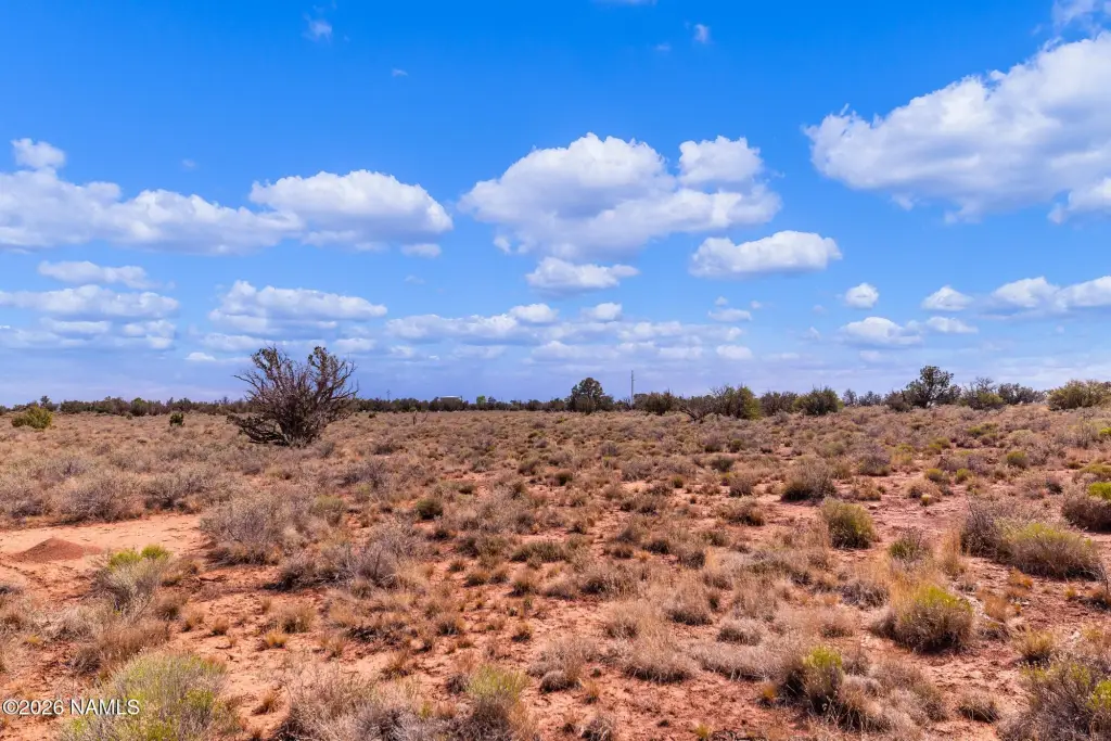 Picture 25