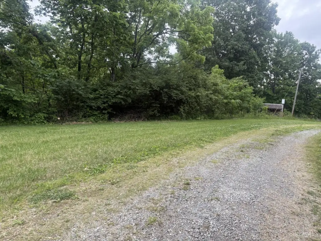 Picture 5