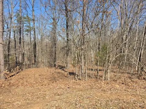Wooded Land in Gallipolis, Ohio