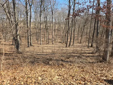 Wooded Land in Gallipolis, Ohio
