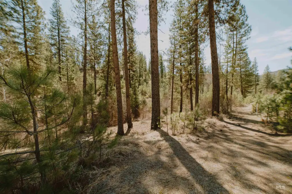 Picture 7