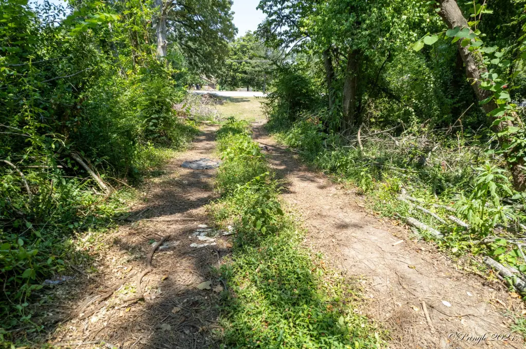 Picture 9