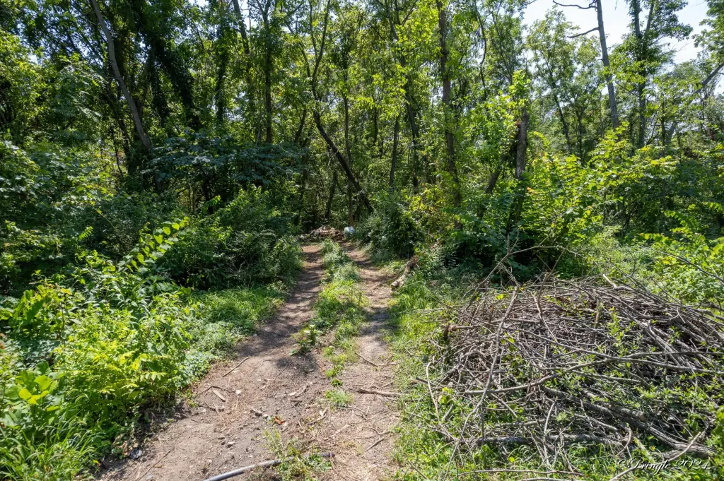 Picture 6