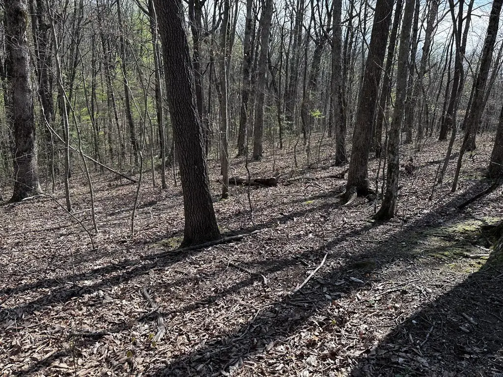 Picture 13
