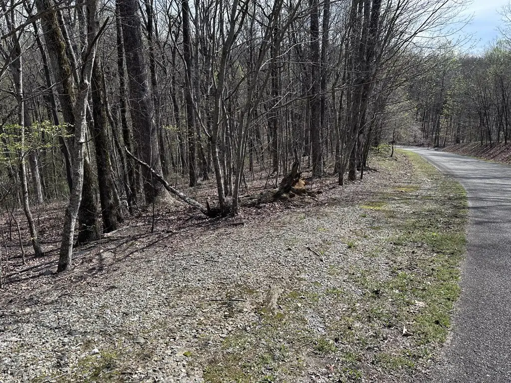 Picture 11