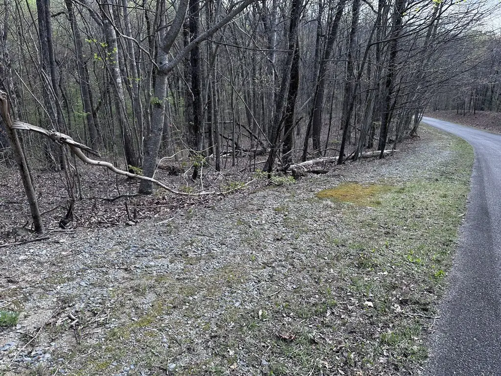 Picture 10