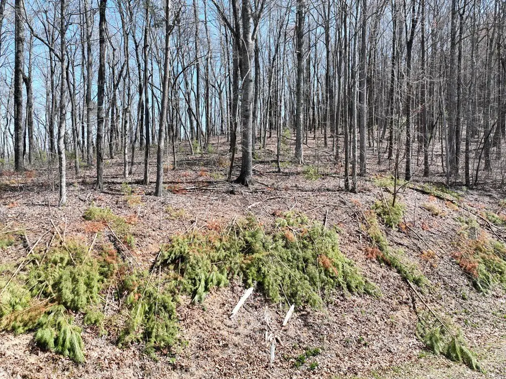 Picture 7