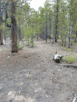Residential Land in Leadville, CO