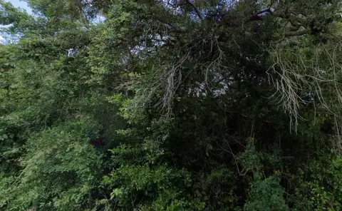 Spacious Residential Land Opportunity