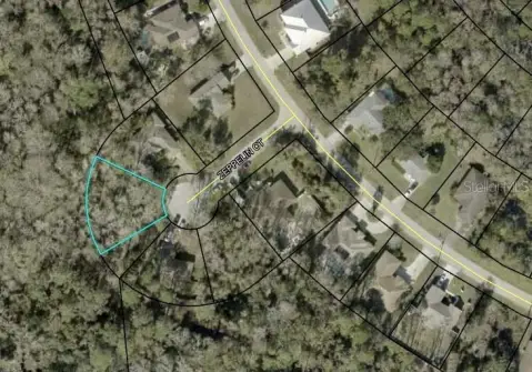 Wooded Lot in Palm Coast