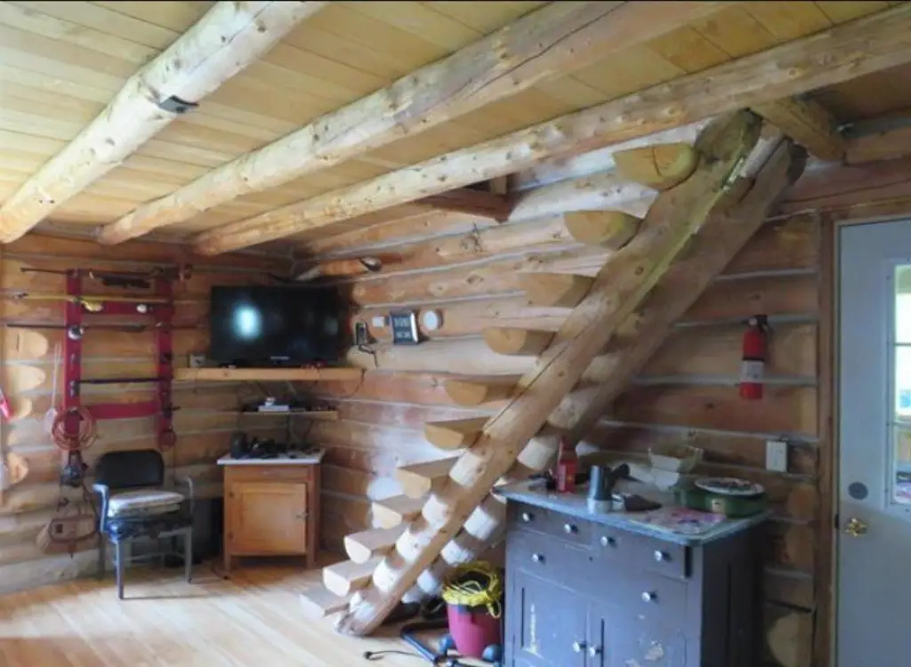 Picture 12