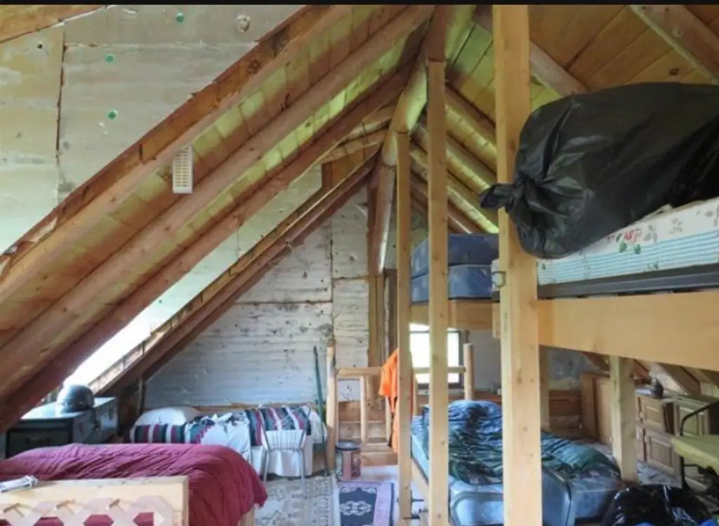 Picture 14