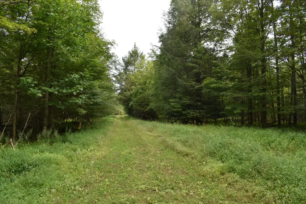Picture 22