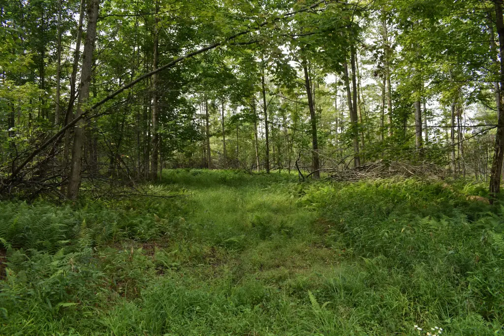 Picture 28