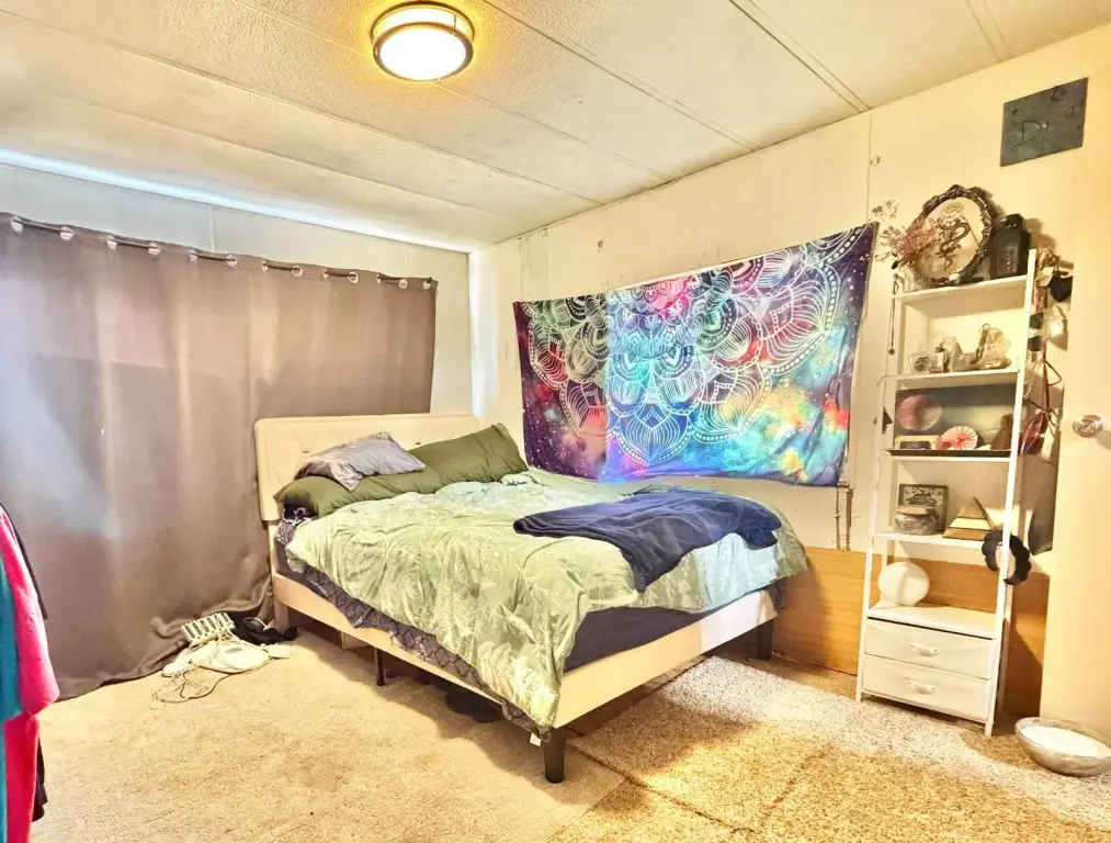 Picture 41