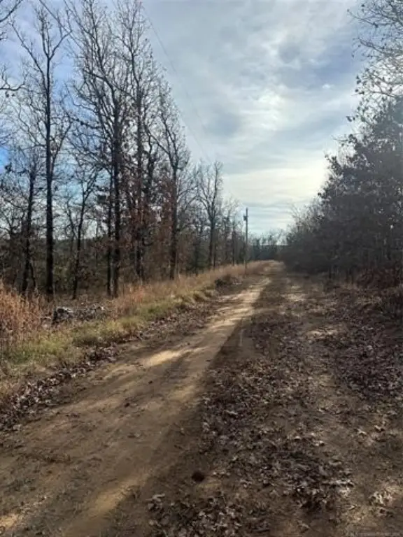 Picture 3