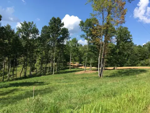 Wooded Lakefront Lot in Kentucky