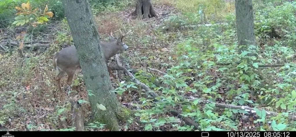 Picture 22