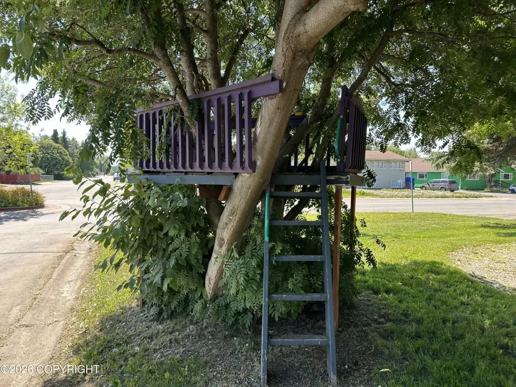Picture 38
