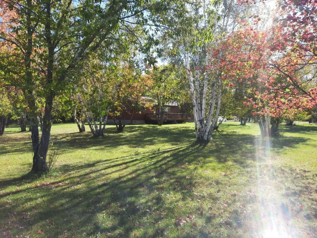 Picture 25