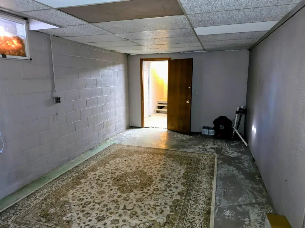Picture 20