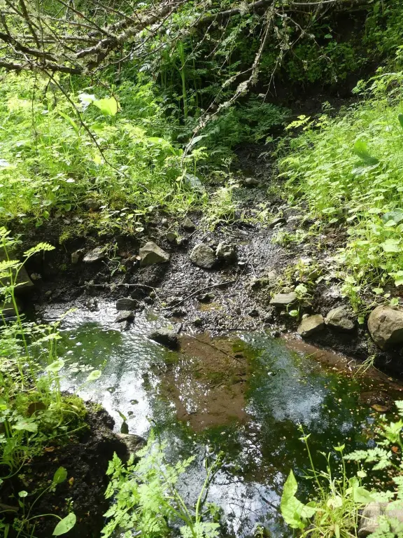 Picture 29