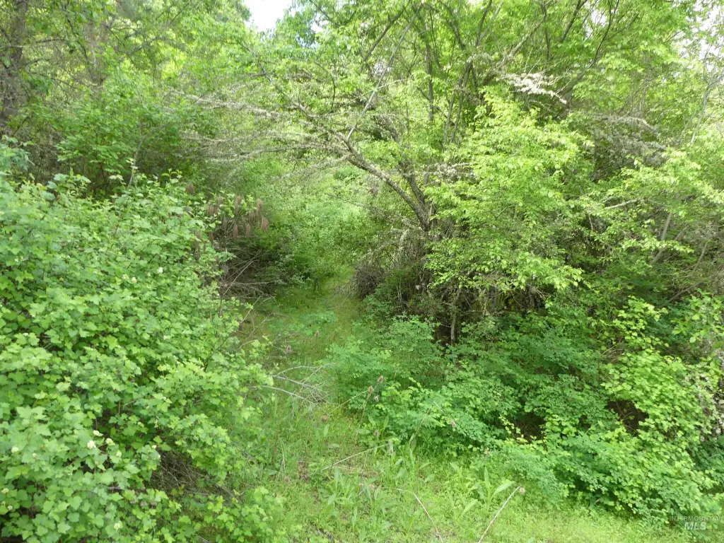 Picture 27