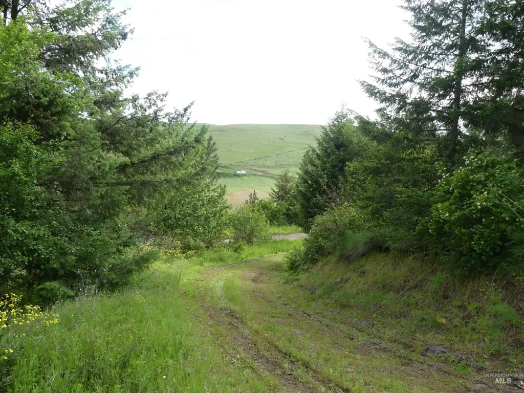 Picture 22