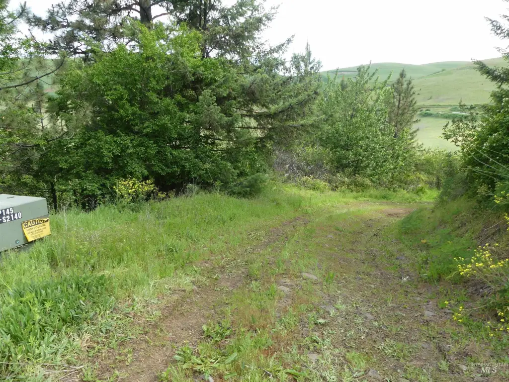 Picture 20