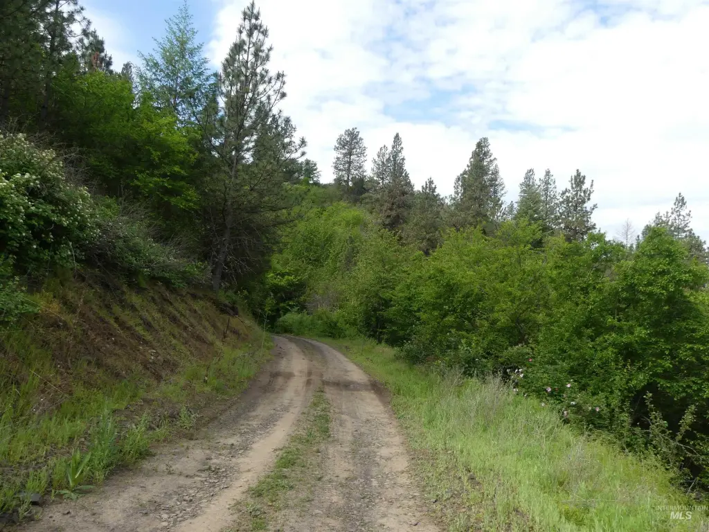Picture 25