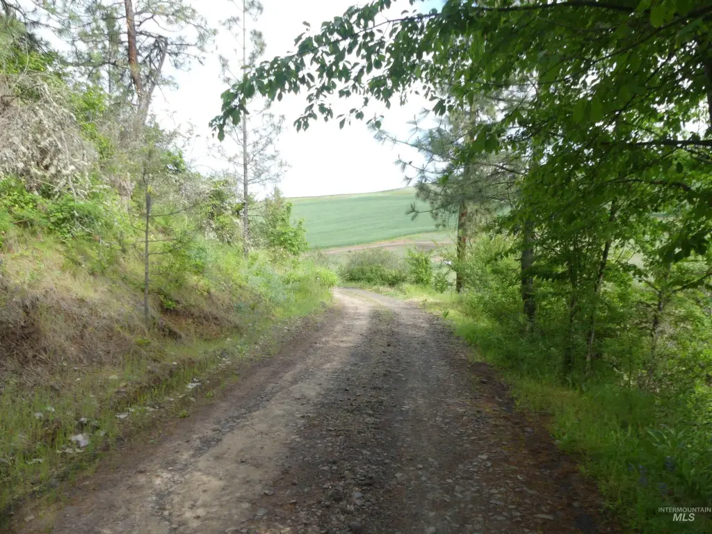 Picture 32