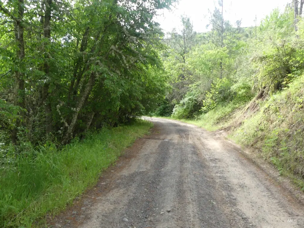 Picture 31