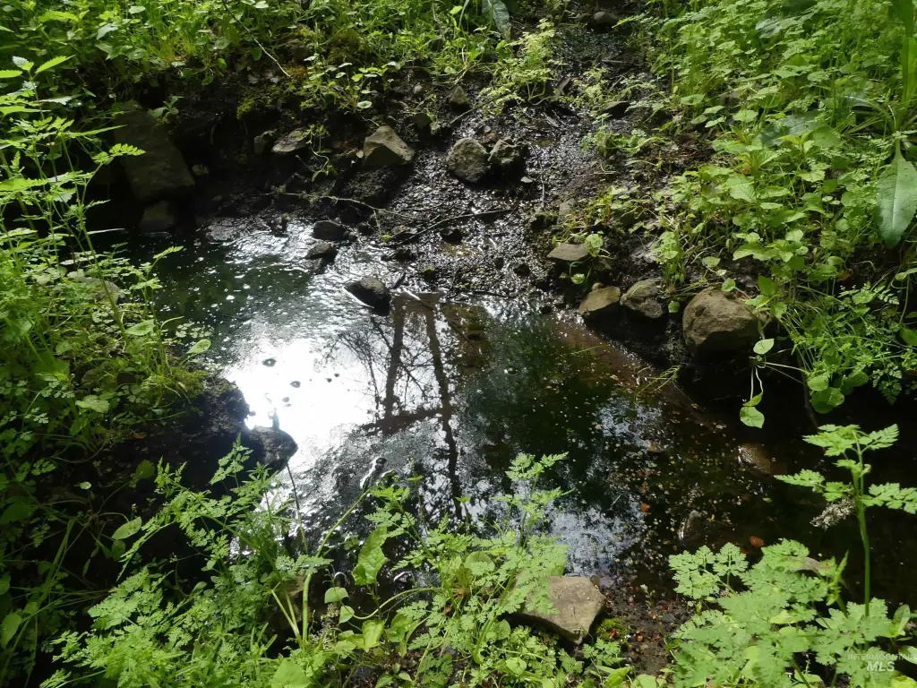 Picture 28