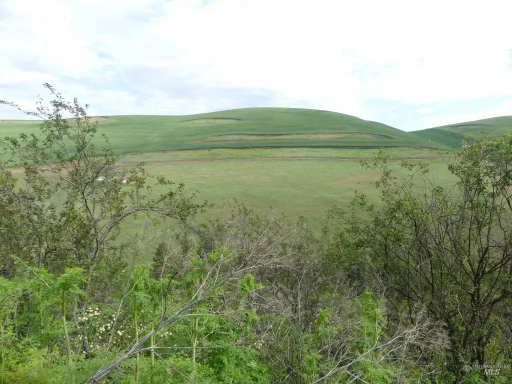 Picture 36