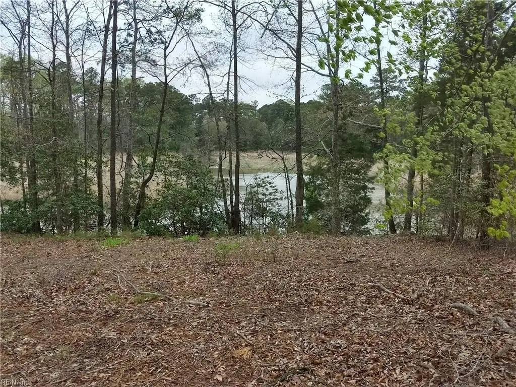 Picture 5