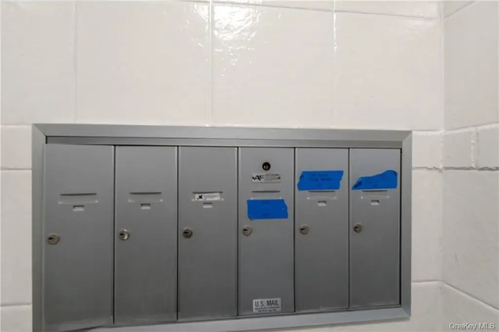 Picture 5