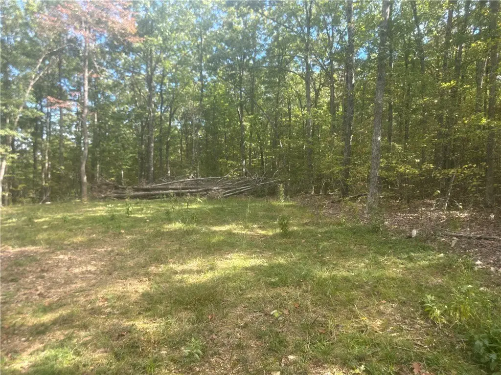 Picture 11