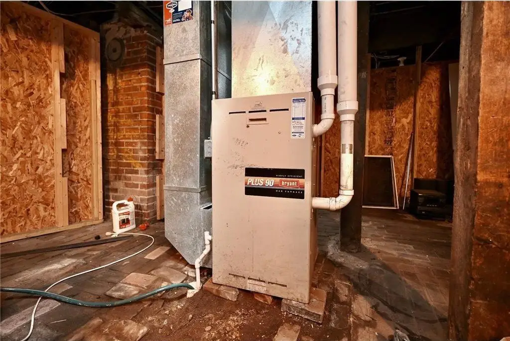 Picture 25