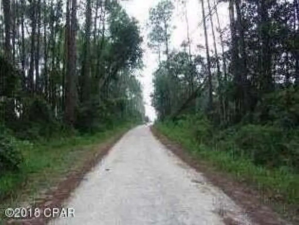 Picture 14
