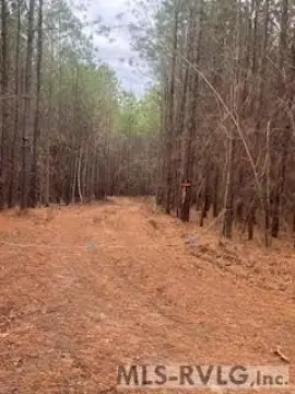 South Hill Acreage For Sale