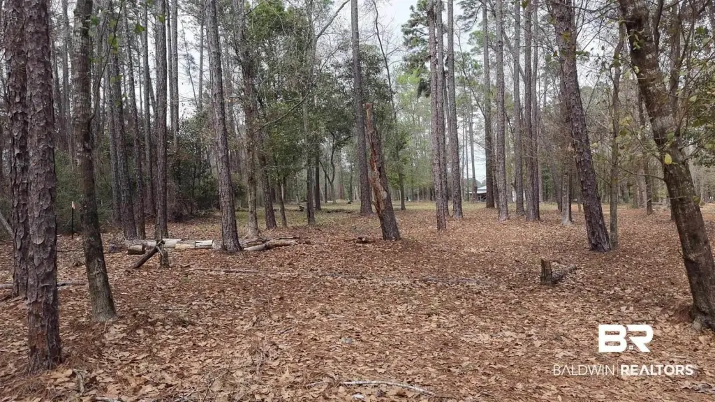 Picture 22