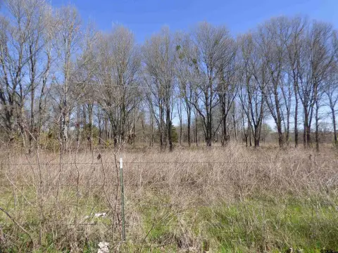 Wooded Acreage in Mt Pleasant