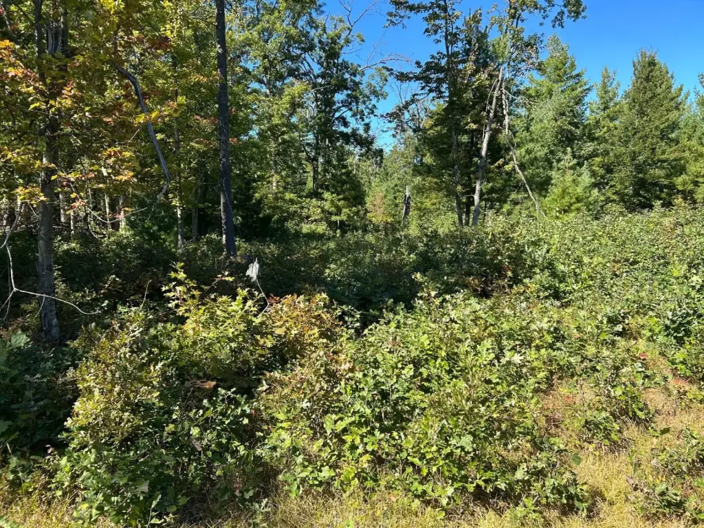 Picture 23