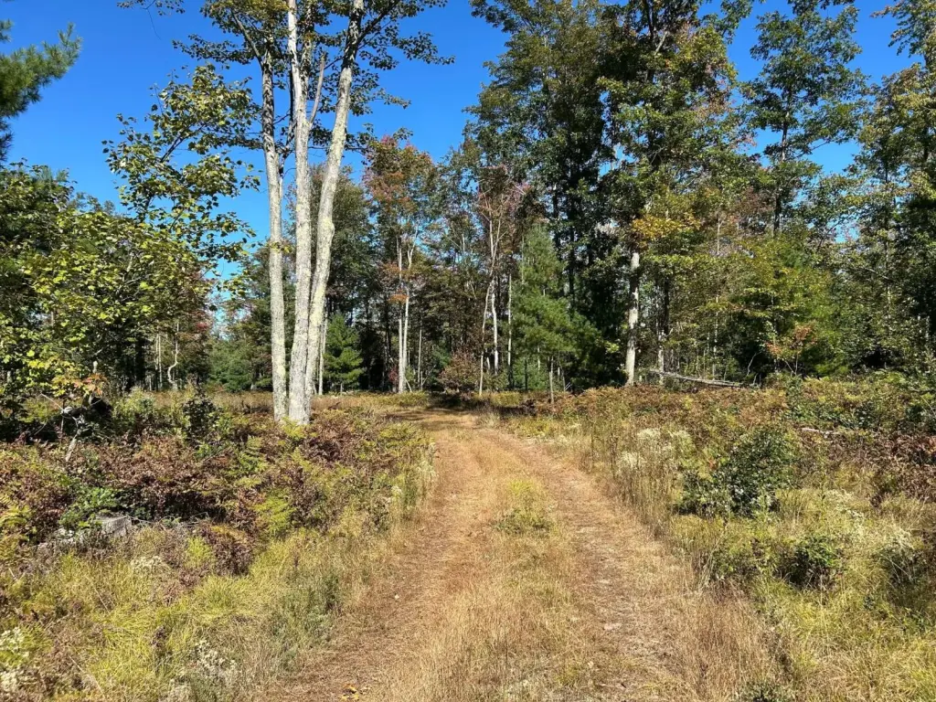 Picture 18
