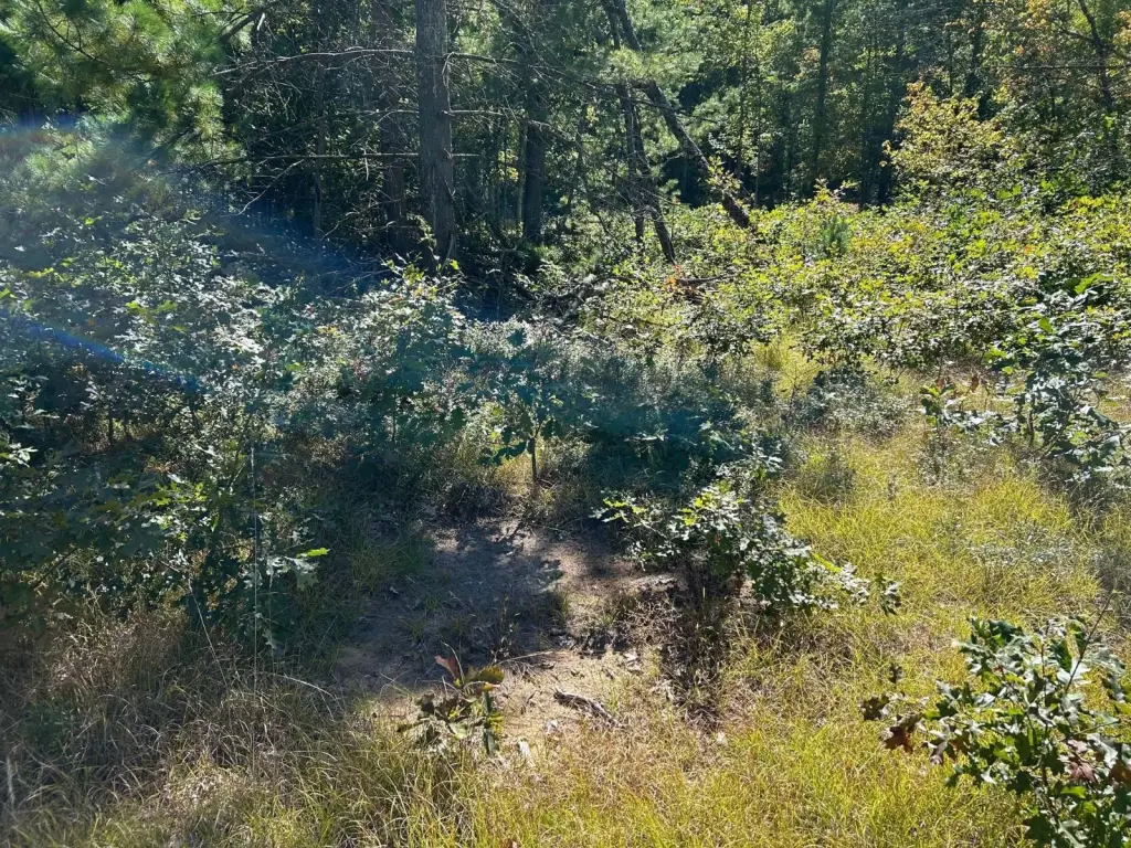 Picture 22