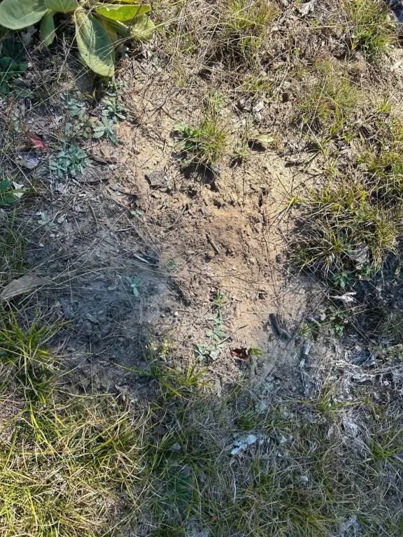 Picture 25