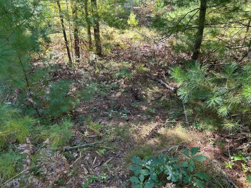 Picture 14