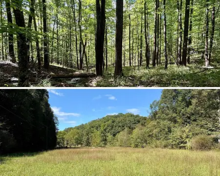 Hunting Land with Open Meadow