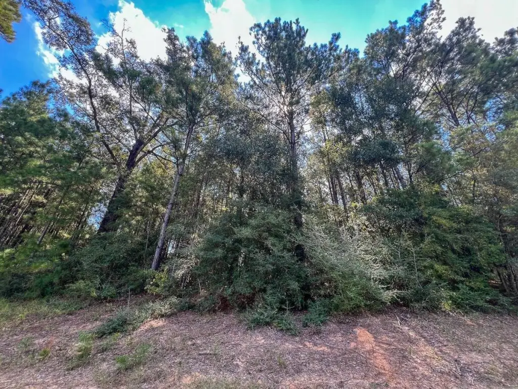 Picture 7
